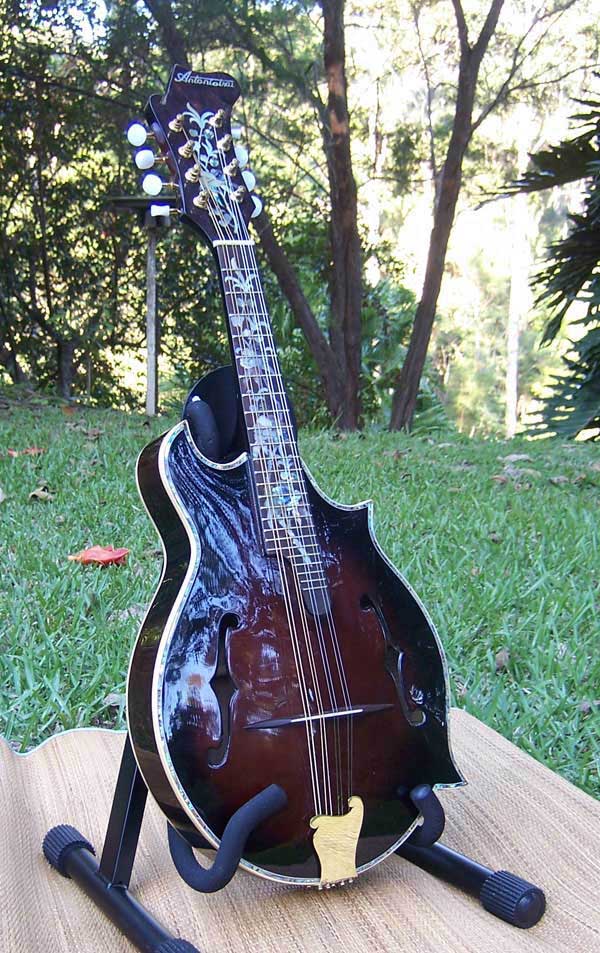 Floral Swallows F4-Style Inlaid Mandolin