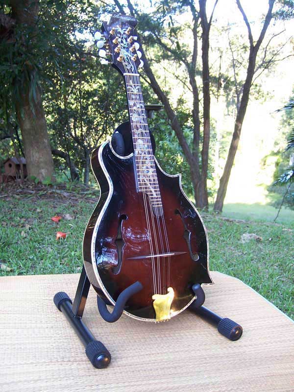 Floral Swallows F4-Style Inlaid Mandolin