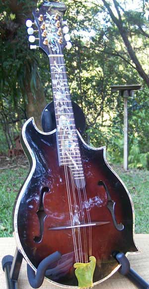 Floral Swallows F4-Style Inlaid Mandolin