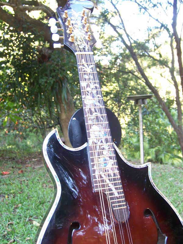 Floral Swallows F4-Style Inlaid Mandolin