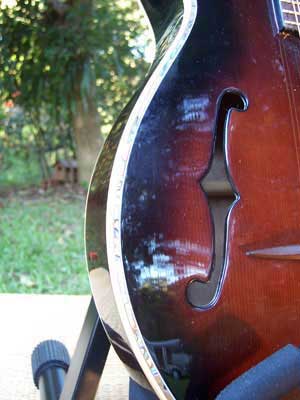Floral Swallows F4-Style Inlaid Mandolin