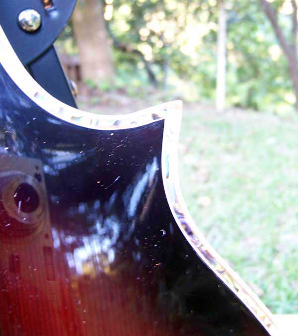 Floral Swallows F4-Style Inlaid Mandolin
