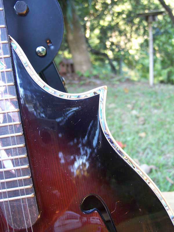 Floral Swallows F4-Style Inlaid Mandolin