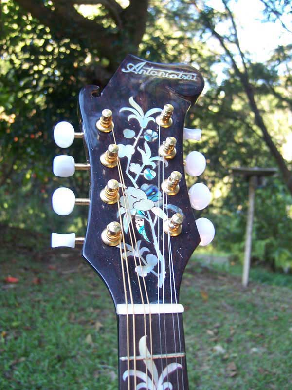 Floral Swallows F4-Style Inlaid Mandolin
