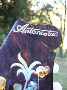 Floral Swallows F4-Style Inlaid Mandolin