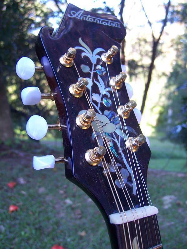 Floral Swallows F4-Style Inlaid Mandolin
