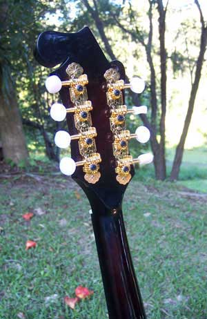 Floral Swallows F4-Style Inlaid Mandolin