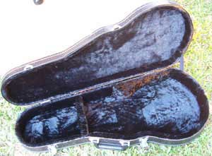 Floral Swallows F4-Style Inlaid Mandolin