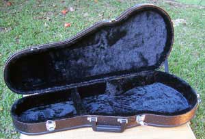 Floral Swallows F4-Style Inlaid Mandolin