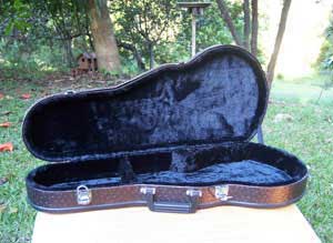 Floral Swallows F4-Style Inlaid Mandolin