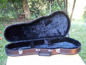 Floral Swallows F4-Style Inlaid Mandolin