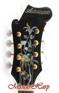 Floral Swallows F4-Style Inlaid Mandolin