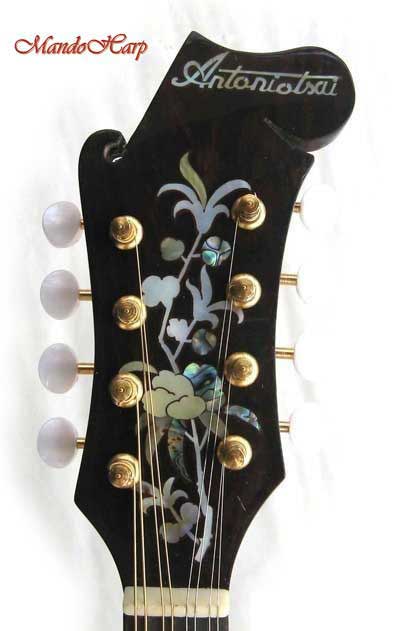 Floral Swallows F4-Style Inlaid Mandolin