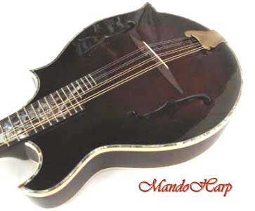 Floral Swallows F4-Style Inlaid Mandolin