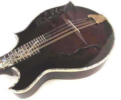 Floral Swallows F4-Style Inlaid Mandolin