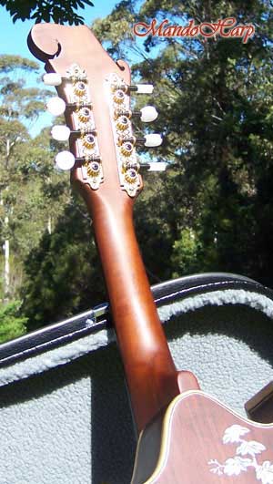 Chalice F4-Style Inlaid Mandolin