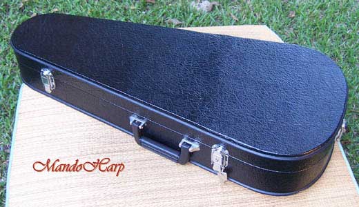 Dragons F4-Style Inlaid Mandolin
