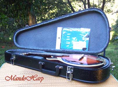 Dragons F4-Style Inlaid Mandolin