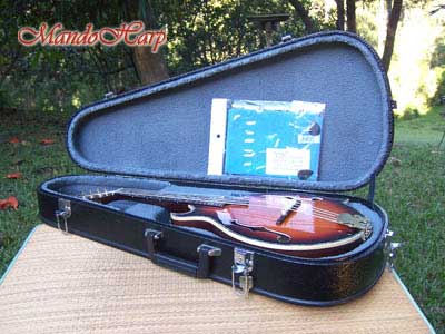 Dragons F4-Style Inlaid Mandolin