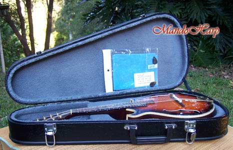 Dragons F4-Style Inlaid Mandolin