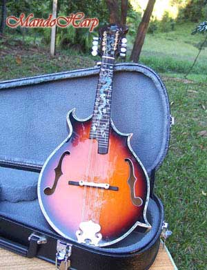 Dragons F4-Style Inlaid Mandolin
