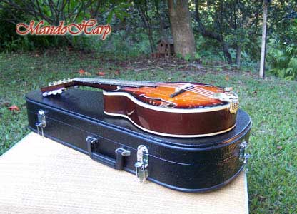 Dragons F4-Style Inlaid Mandolin