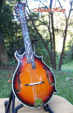 Dragons F4-Style Inlaid Mandolin