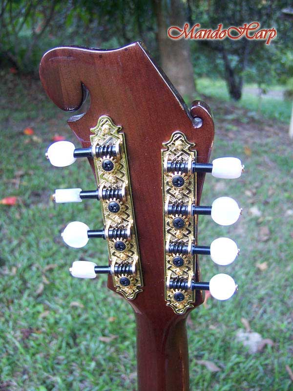 Dragons F4-Style Inlaid Mandolin