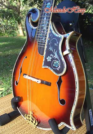 MandoHarp - Hand-Made Inlaid F5 Mandolin