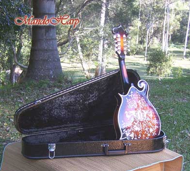 MandoHarp - Hand-Made Inlaid F5 Mandolin
