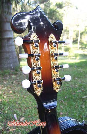 MandoHarp - Hand-Made Inlaid F5 Mandolin