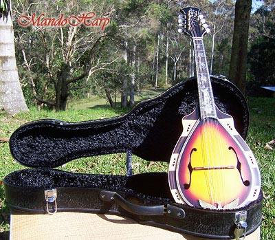 MandoHarp - Hand Made 
