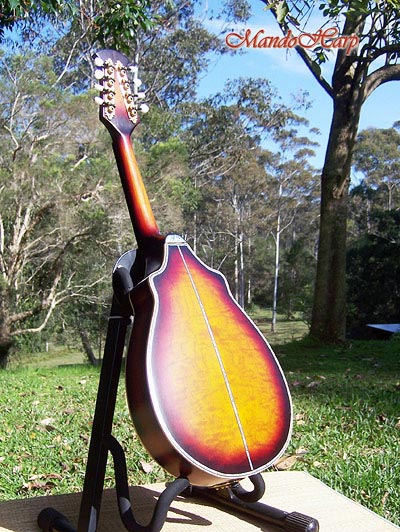 MandoHarp - Hand Made 