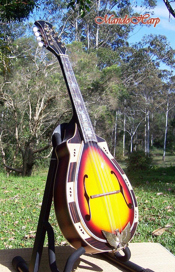 MandoHarp - Hand Made 