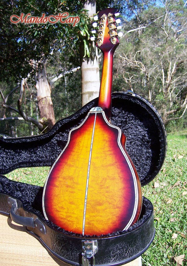 MandoHarp - Hand Made 