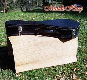 MandoHarp - Hand Made 