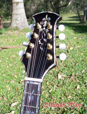 MandoHarp - Hand Made 