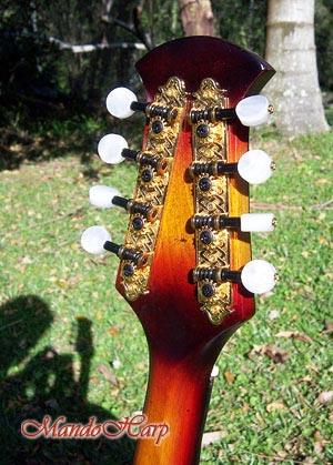 MandoHarp - Hand Made 