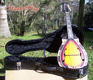 MandoHarp - Hand Made 