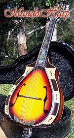 MandoHarp - Hand Made 
