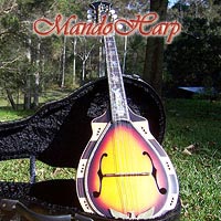 MandoHarp - Hand Made 