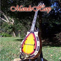MandoHarp - Hand Made 