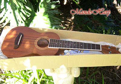 MandoHarp - Oscar Schmidt OU2 Concert Ukulele