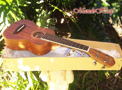 MandoHarp - Oscar Schmidt OU2 Concert Ukulele