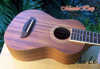 MandoHarp - Oscar Schmidt OU2 Concert Ukulele