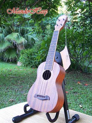 MandoHarp - Oscar Schmidt OU2 Concert Ukulele