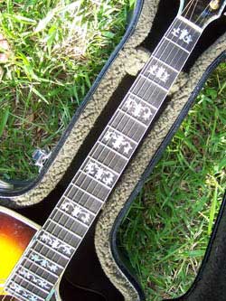 MandoHarp - 'Hands of Gaia' Inlaid Cutaway-Style Acoustic Guitar