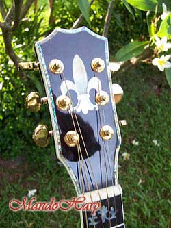 MandoHarp - 'Hands of Gaia' Inlaid Cutaway-Style Acoustic Guitar