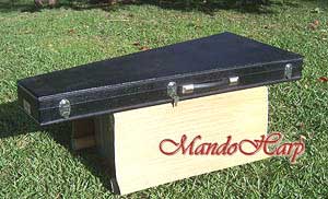 'Dragons' Hand-Made Les Paul Style 12-String Electric Guitar