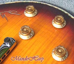 'Dragons' Hand-Made Les Paul Style 12-String Electric Guitar